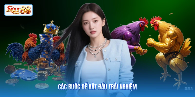 Các bước để bắt đầu trải nghiệm
