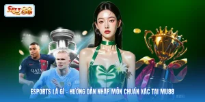 Esports Là Gì - Hướng Dẫn Nhập Môn Chuẩn Xác Tại MU88