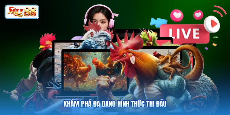 Khám phá đa dạng hình thức thi đấu