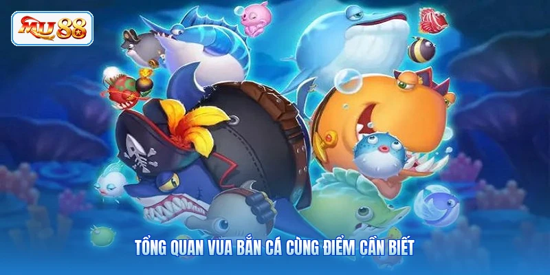 Tổng quan Vua Bắn Cá cùng điểm cần biết