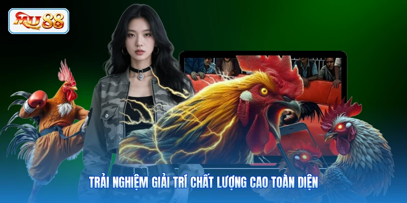 Trải nghiệm giải trí chất lượng cao toàn diện